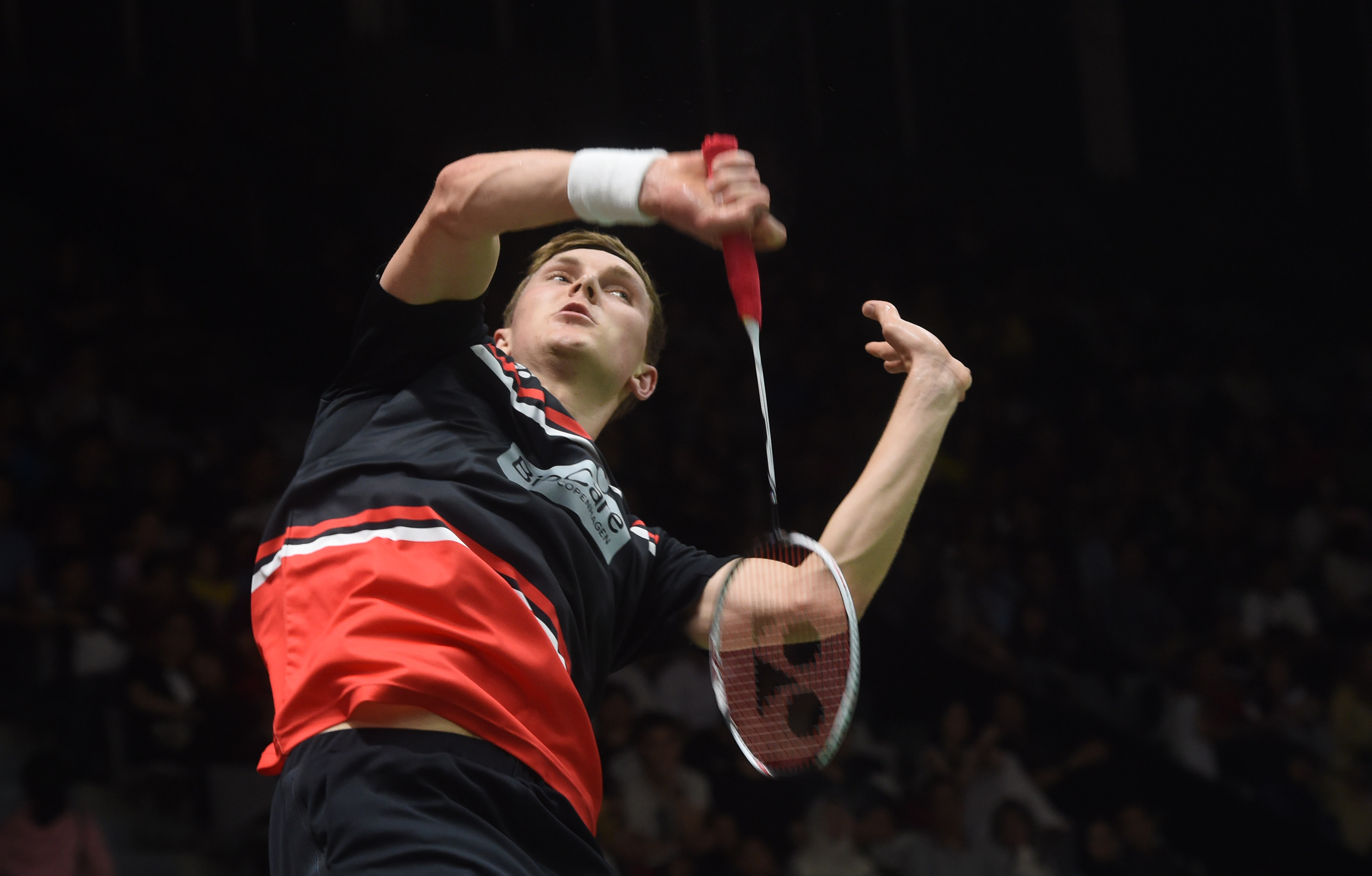 的野辅联动 的野辅联动